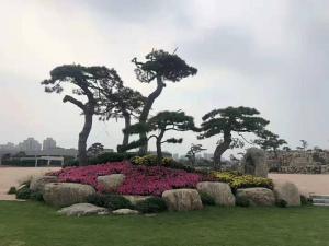 景觀(guān)石